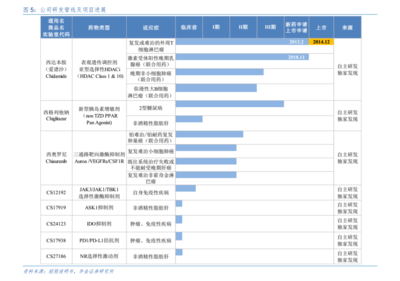 保险公司的发展与寿险公司概览 探究其总部管理的中国模式